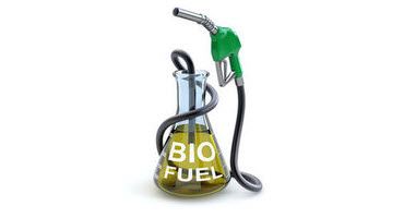 U.S. Biofuel Growth Faces Tariff Challenges
